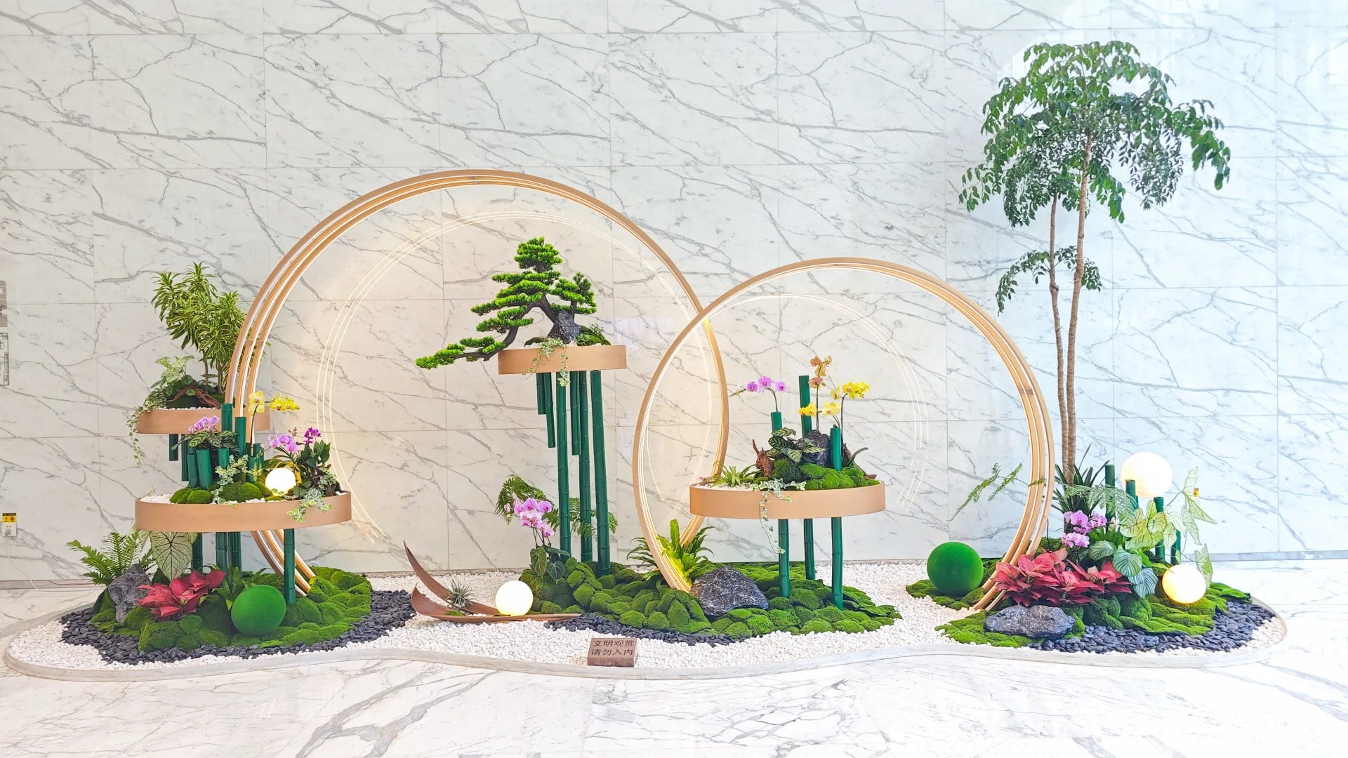 了解宁波花木租赁方案，畅享清新自然空间